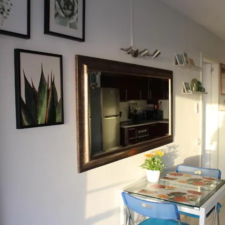 Torres Del Sol 15 Floor The Hightest